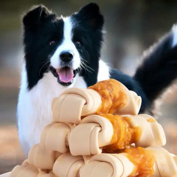 حلوى الكلاب المصنوعة من الجلد الخام ملفوفة بالدجاج
